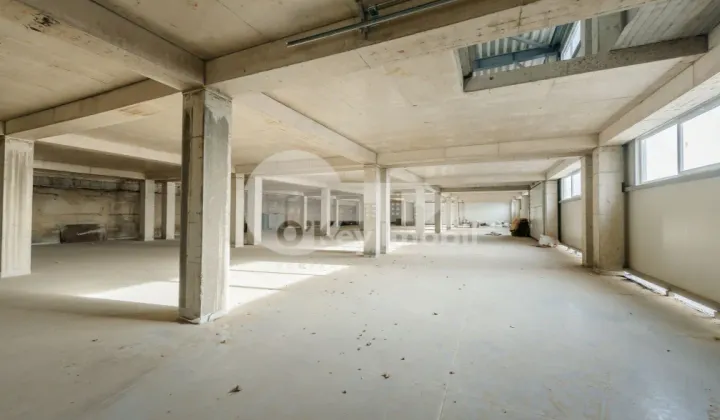 Depozit, Ciocana, UZINELOR