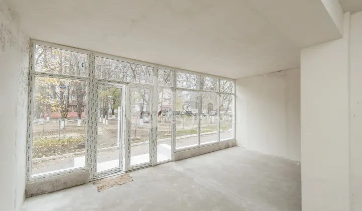 Квартира, Ботаника, САРМИЗЕДЖЕТУСА