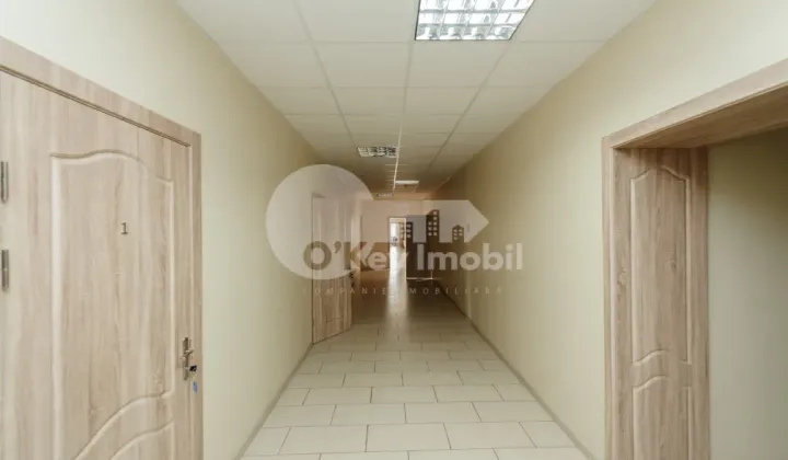 Oficiu, Centru, BĂNULESCU BODONI