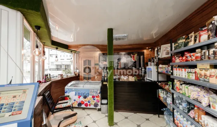 Комм. помещение, Рышкановка, АЛБИШОАРА