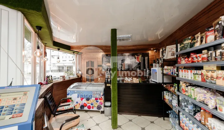 Комм. помещение, Рышкановка, АЛБИШОАРА