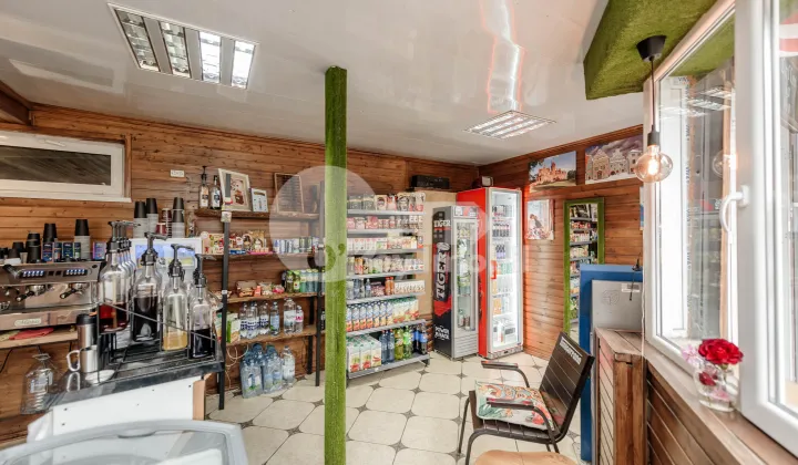 Комм. помещение, Рышкановка, АЛБИШОАРА