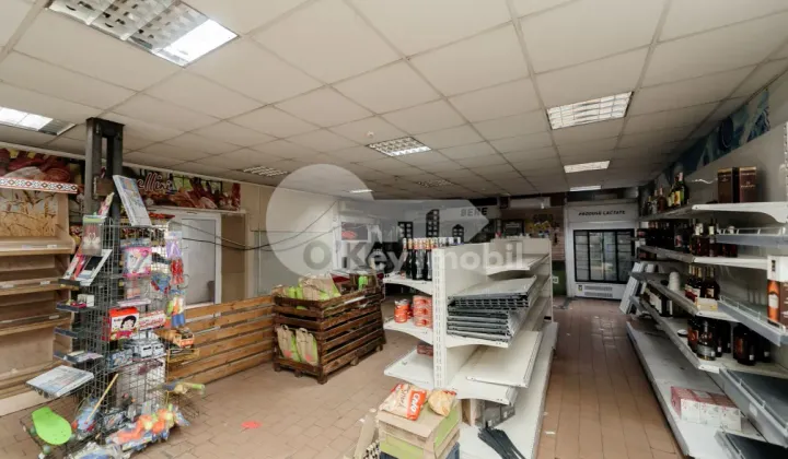 Комм. помещение, Рышкановка, АЛБИШОАРА