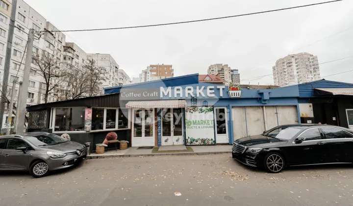 Комм. помещение, Рышкановка, АЛБИШОАРА