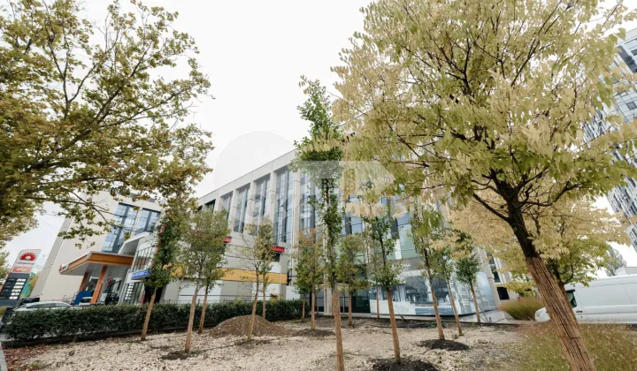 Офис, Буюканы, КАЛЯ ЕШИЛОР