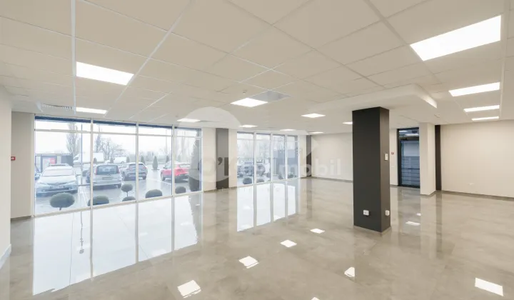 Spațiu comercial, Botanica, DACIA