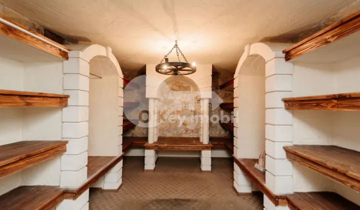 Комм. помещение, Рышкановка, СПАРТАКУС