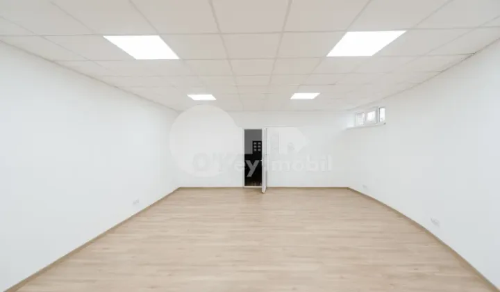 Oficiu, Buiucani, BUCURIEI