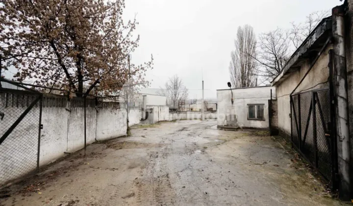 Oficiu, Buiucani, BUCURIEI