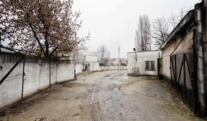 Офис, Буюканы, БУКУРИЕЙ