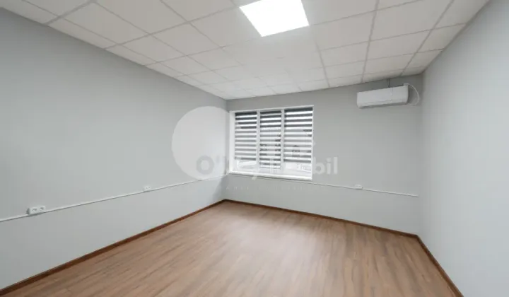 Oficiu, Buiucani, BUCURIEI