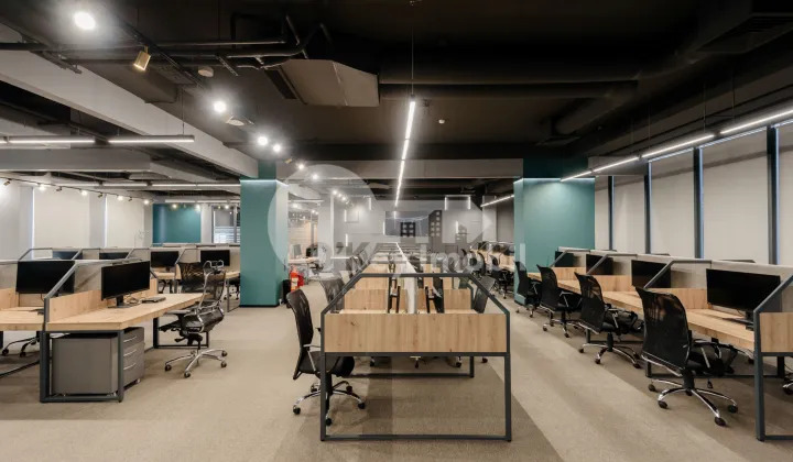 Офис, Ботаника, КОНСТАНТИН БРЫНКУШ