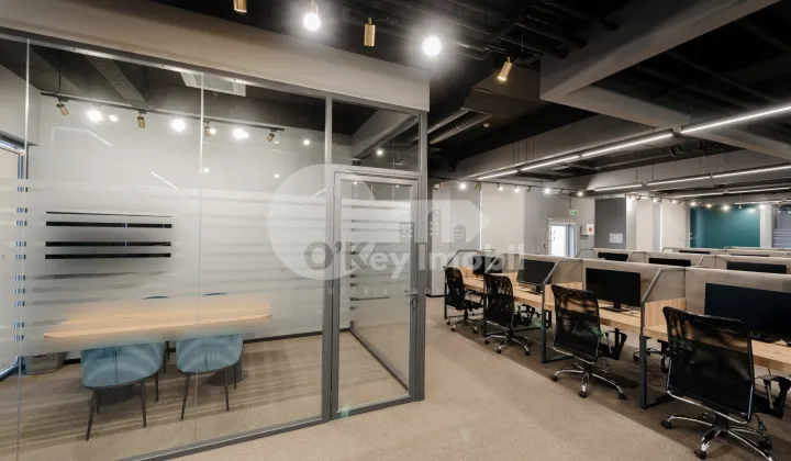 Офис, Ботаника, КОНСТАНТИН БРЫНКУШ