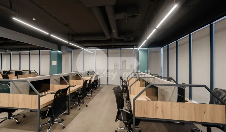 Офис, Ботаника, КОНСТАНТИН БРЫНКУШ