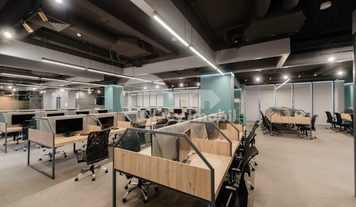 Офис, Ботаника, КОНСТАНТИН БРЫНКУШ