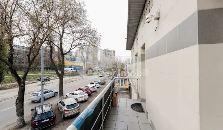 Офис, Ботаника, МУНЧЕШТЬ