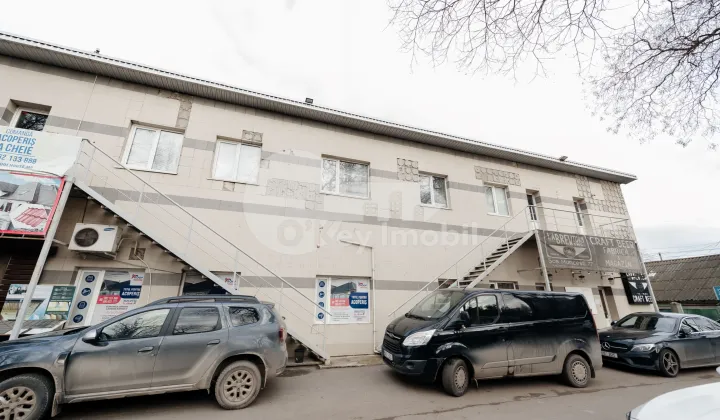 Офис, Ботаника, МУНЧЕШТЬ