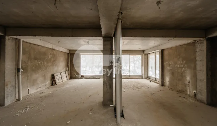 Комм. помещение, Чеканы, МИЛЕСКУ СПЭТАРУ