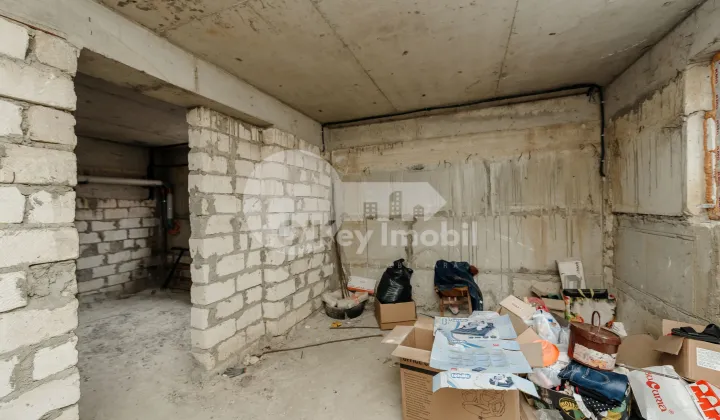 Комм. помещение, Чеканы, МИЛЕСКУ СПЭТАРУ