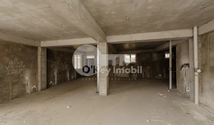 Комм. помещение, Чеканы, МИЛЕСКУ СПЭТАРУ