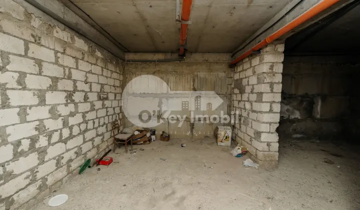 Комм. помещение, Чеканы, МИЛЕСКУ СПЭТАРУ