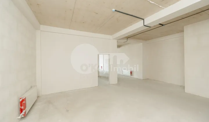 Комм. помещение, Ботаника, ДЕЧЕБАЛ