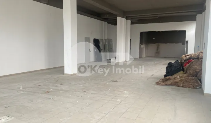 Spațiu comercial, Centru, VASILE ALECSANDRI