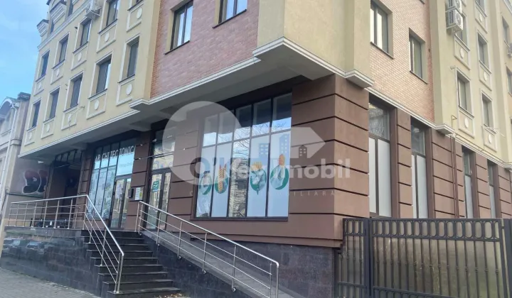 Spațiu comercial, Centru, VASILE ALECSANDRI