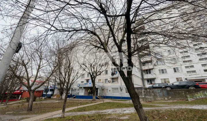 Квартира, Ботаника, ИНДЕПЕНДЕНЦЕЙ