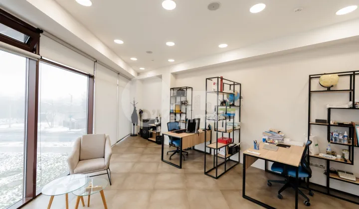 Офис, Центр, НИКОЛАЕ ТЕСТЕМИЦАНУ