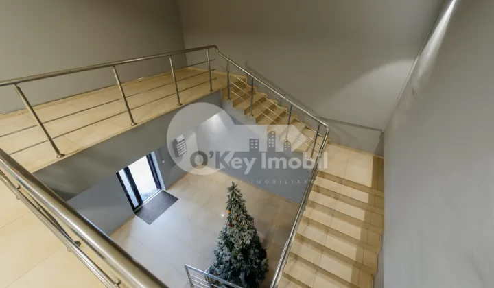 Офис, Центр, НИКОЛАЕ ТЕСТЕМИЦАНУ