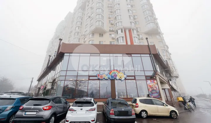 Офис, Центр, НИКОЛАЕ ТЕСТЕМИЦАНУ