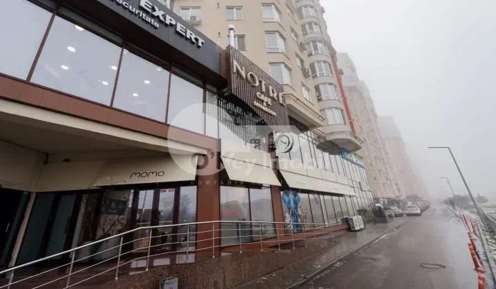 Офис, Центр, НИКОЛАЕ ТЕСТЕМИЦАНУ