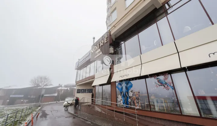 Офис, Центр, НИКОЛАЕ ТЕСТЕМИЦАНУ