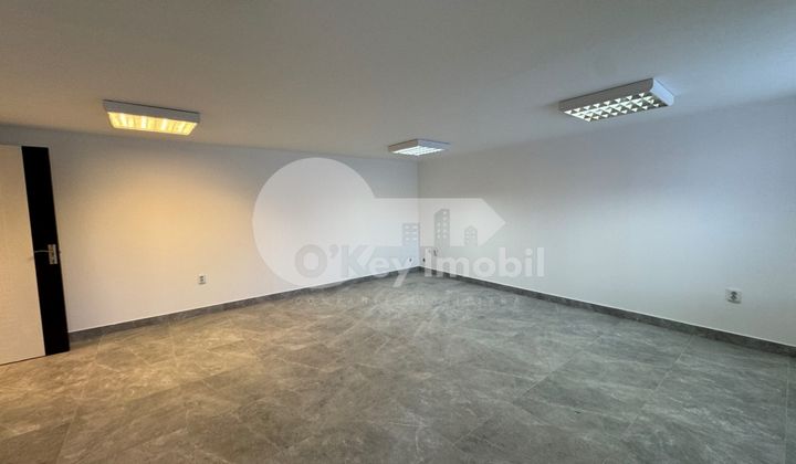 Spațiu comercial, Botanica, DACIA