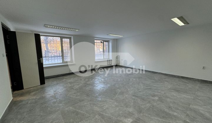 Spațiu comercial, Botanica, DACIA