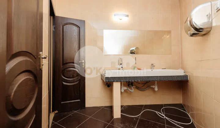 Spațiu comercial, Centru, MELESTIU