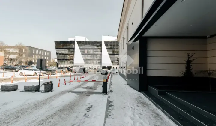 Офис, Центр, ТИГИНА