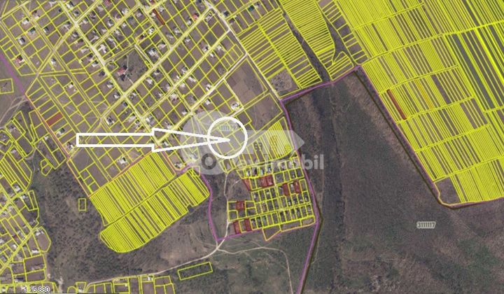 Земельный участок, КРИУЛЯНЫ