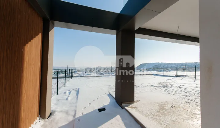 Дом, Ботаника, ДАЧИЯ