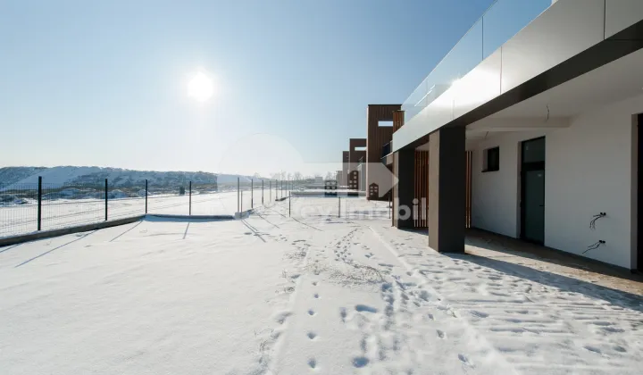 Дом, Ботаника, ДАЧИЯ