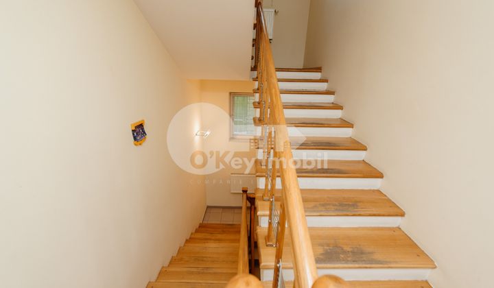 Spațiu comercial, Râșcani, SPARTACUS