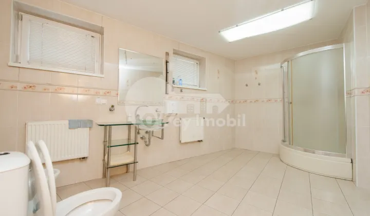 Комм. помещение, Рышкановка, СПАРТАКУС