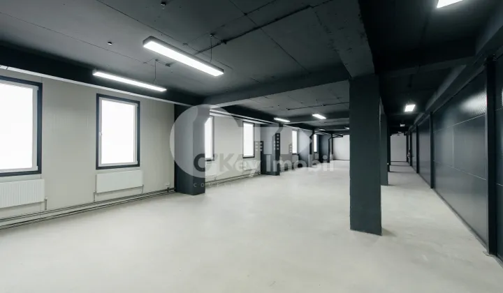 Комм. помещение, Ботаника, ДАЧИЯ