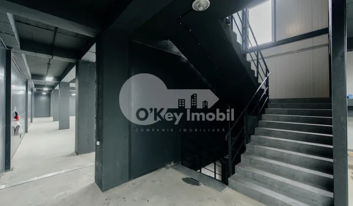 Комм. помещение, Ботаника, ДАЧИЯ