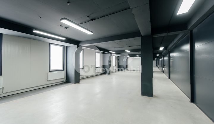 Spațiu comercial, Botanica, DACIA