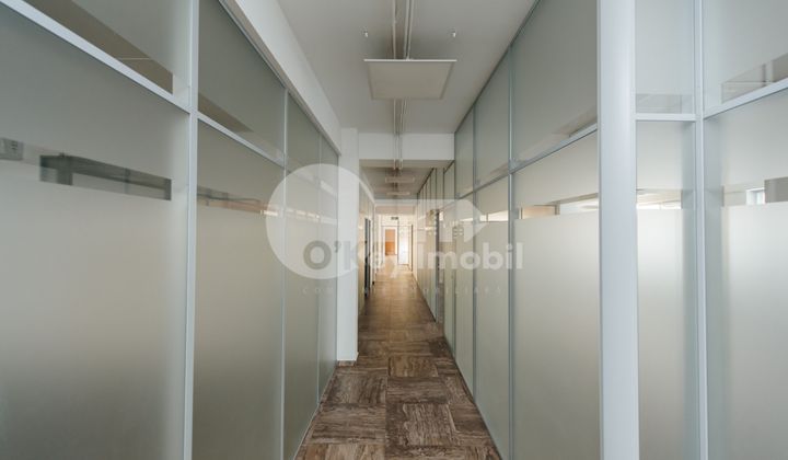 Oficiu, Centru, 31 AUGUST