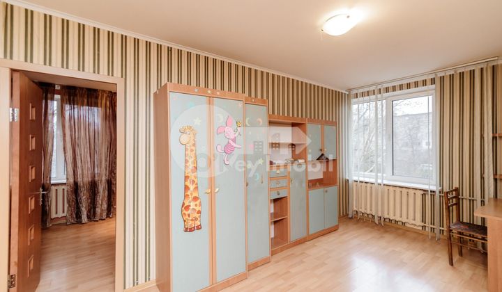 Apartament, Botanica, NIKOLAI ZELINSKI