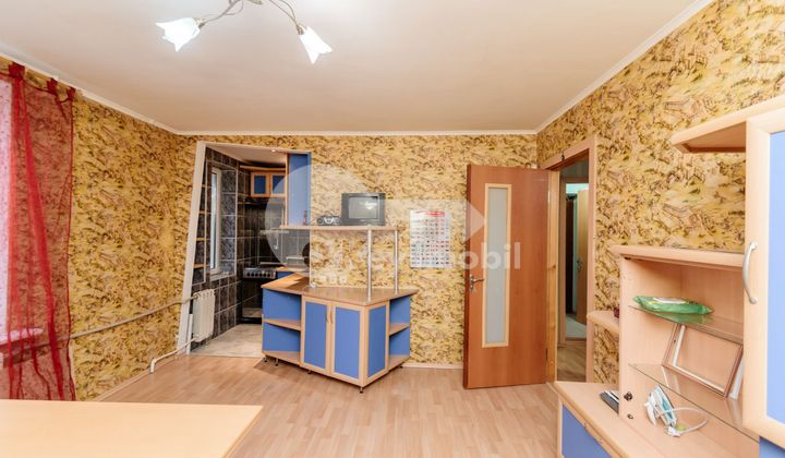 Apartament, Botanica, NIKOLAI ZELINSKI