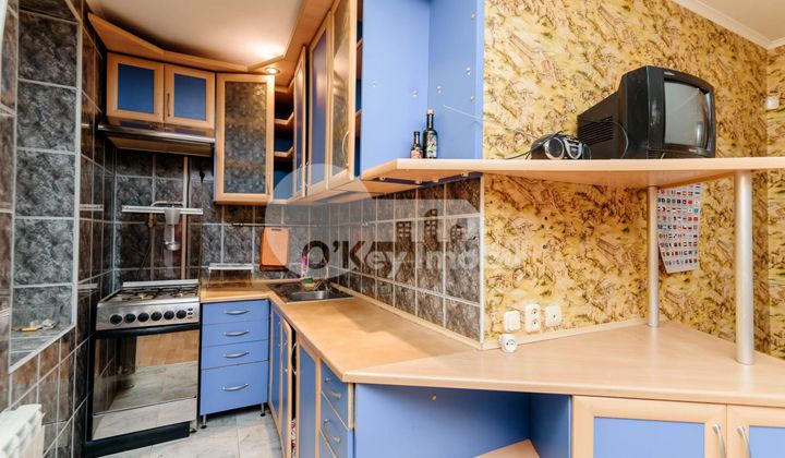 Apartament, Botanica, NIKOLAI ZELINSKI